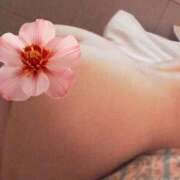 ヒメ日記 2026/03/11 23:38 投稿 なつ 吉野ケ里人妻デリヘル 「デリ夫人」