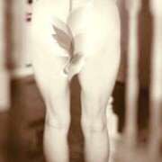 ヒメ日記 2026/04/15 20:53 投稿 なつ 吉野ケ里人妻デリヘル 「デリ夫人」