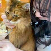 ヒメ日記 2026/03/08 12:01 投稿 鈴蘭ー謙虚に頑張りますー GOOD-グッド-