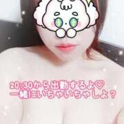 ヒメ日記 2025/11/26 19:24 投稿 とうか 錦糸町ぽちゃカワ女子専門店！我慢できないの！