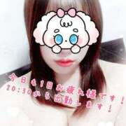 ヒメ日記 2026/02/09 19:21 投稿 とうか 錦糸町ぽちゃカワ女子専門店！我慢できないの！