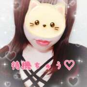 ヒメ日記 2026/02/09 21:32 投稿 とうか 錦糸町ぽちゃカワ女子専門店！我慢できないの！