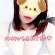 ヒメ日記 2026/02/15 13:05 投稿 とうか 錦糸町ぽちゃカワ女子専門店！我慢できないの！