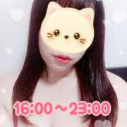 ヒメ日記 2026/06/09 11:34 投稿 とうか 錦糸町ぽちゃカワ女子専門店！我慢できないの！