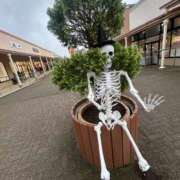 ヒメ日記 2025/11/24 09:00 投稿 篠崎　ゆい 癒し娘診療所 水戸・ひたちなか店