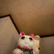 ヒメ日記 2025/12/03 15:29 投稿 篠崎　ゆい 癒し娘診療所 水戸・ひたちなか店