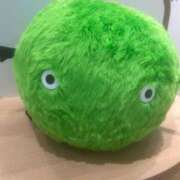 ヒメ日記 2025/12/05 09:00 投稿 篠崎　ゆい 癒し娘診療所 水戸・ひたちなか店