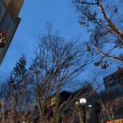 ヒメ日記 2025/12/26 09:04 投稿 篠崎　ゆい 癒し娘診療所 水戸・ひたちなか店