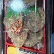 ヒメ日記 2026/01/12 12:48 投稿 篠崎　ゆい 癒し娘診療所 水戸・ひたちなか店