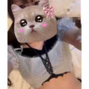 ヒメ日記 2025/10/30 19:30 投稿 あさ プリンセスセレクション姫路