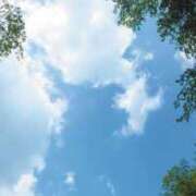 ヒメ日記 2025/11/29 08:01 投稿 あさ プリンセスセレクション姫路