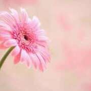 ヒメ日記 2025/09/14 11:06 投稿 吉瀬 みちこ 人妻の雫 倉敷店