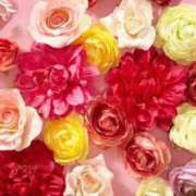 吉瀬 みちこ 時間変更のお知らせ 人妻の雫 倉敷店