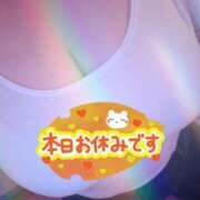 ヒメ日記 2025/11/17 21:36 投稿 ゆきね One More 奥様 小岩店