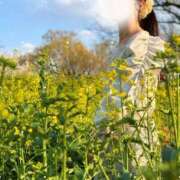 ヒメ日記 2026/04/03 06:32 投稿 ゆい 大阪痴女性感フェチ倶楽部