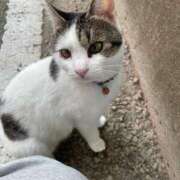 やよい お礼💌💌💌 ロイヤル土佐