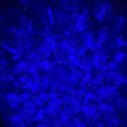 ヒメ日記 2025/09/15 00:33 投稿 もも【性感】 性感エステBianca豊中店