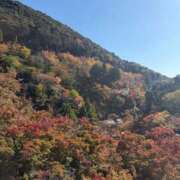 ヒメ日記 2025/11/20 19:41 投稿 もも【性感】 性感エステBianca豊中店