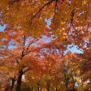 ヒメ日記 2025/12/01 20:17 投稿 もも【性感】 性感エステBianca豊中店