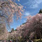 もも【性感】 🌸 性感エステBianca豊中店