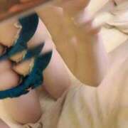 ヒメ日記 2025/11/10 13:53 投稿 白雪いちか＠M性感ラボラトリー アナラードライ