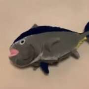 ヒメ日記 2026/01/30 09:56 投稿 広江ありす ミセスの癒しエステ