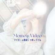 ヒメ日記 2026/02/25 19:37 投稿 東雲もも BLENDA V.I.P東京店