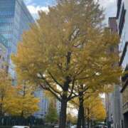 ヒメ日記 2025/11/21 09:07 投稿 もえか ごほうびSPA仙台店