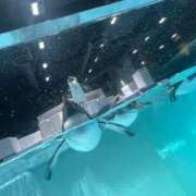 もえか 帰省から帰還！ ごほうびSPA仙台店