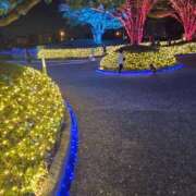 ヒメ日記 2025/11/10 20:36 投稿 ふたば 熟女家 豊中蛍池店