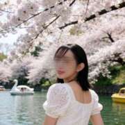 ヒメ日記 2026/04/07 13:07 投稿 さおり Salon du Mーえっちなお姉さんのM性感デリバリーー大阪店