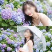 ヒメ日記 2026/07/03 12:11 投稿 さおり Salon du Mーえっちなお姉さんのM性感デリバリーー大阪店