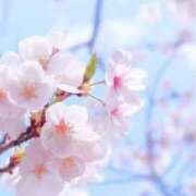 ヒメ日記 2026/04/01 08:28 投稿 ひなた ごほうびSPA名古屋店