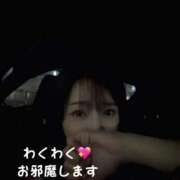 ヒメ日記 2025/09/29 03:40 投稿 松雪　(まつゆき) 初脱ぎマダム