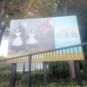 ヒメ日記 2025/11/22 22:21 投稿 さなえ 奥様特急長岡店