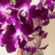 ヒメ日記 2025/08/29 23:34 投稿 しおん 濃厚即19妻