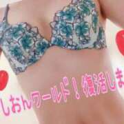 ヒメ日記 2025/11/05 06:24 投稿 しおん 濃厚即19妻