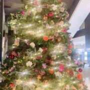 ヒメ日記 2025/12/13 18:17 投稿 しおん 濃厚即19妻