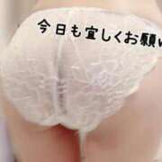 ヒメ日記 2026/02/25 09:44 投稿 しおん 濃厚即19妻