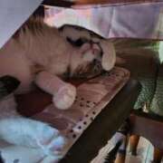 ヒメ日記 2026/02/07 10:19 投稿 ライカ 広島回春性感マッサージ倶楽部