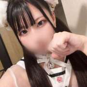 ヒメ日記 2025/07/31 17:30 投稿 シオリ きらめけ！にゃんにゃん学園in大宮