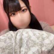 ヒメ日記 2025/08/02 00:29 投稿 シオリ きらめけ！にゃんにゃん学園in大宮