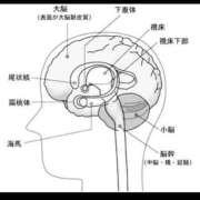 ヒメ日記 2025/08/30 13:00 投稿 ほたる 熟女の風俗最終章 錦糸町店