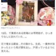 ヒメ日記 2025/09/18 17:55 投稿 ほたる 熟女の風俗最終章 錦糸町店