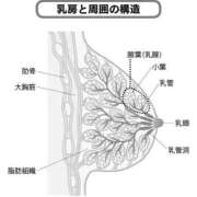 ヒメ日記 2025/10/11 11:15 投稿 ほたる 熟女の風俗最終章 錦糸町店