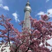 ヒメ日記 2025/10/11 16:05 投稿 ほたる 熟女の風俗最終章 錦糸町店