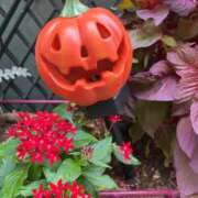 ヒメ日記 2025/10/22 12:05 投稿 ほたる 熟女の風俗最終章 錦糸町店