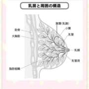ヒメ日記 2026/02/06 14:15 投稿 ほたる 熟女の風俗最終章 錦糸町店