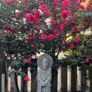 ヒメ日記 2026/02/08 08:14 投稿 ほたる 熟女の風俗最終章 錦糸町店