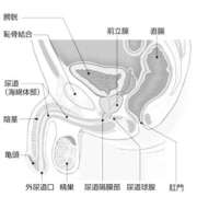 ヒメ日記 2026/02/15 19:15 投稿 ほたる 熟女の風俗最終章 錦糸町店